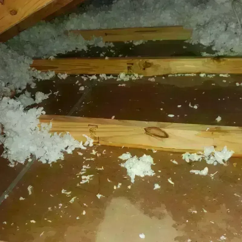 Attic Water Damage in Palmetto Estates, FL